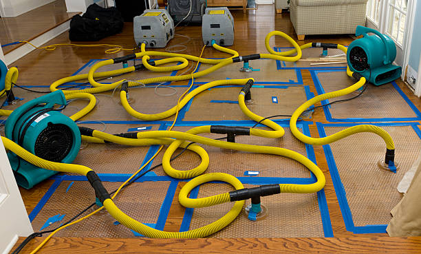 Professional Water Extraction technician working in Connoquenessing, PA