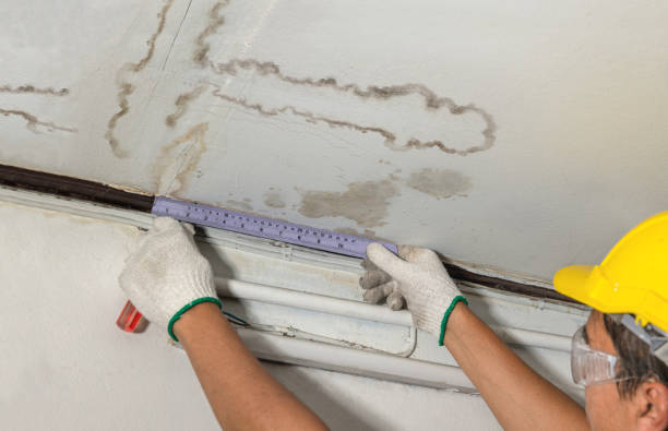 Affordable Water Damage Repair solutions in Connoquenessing, PA